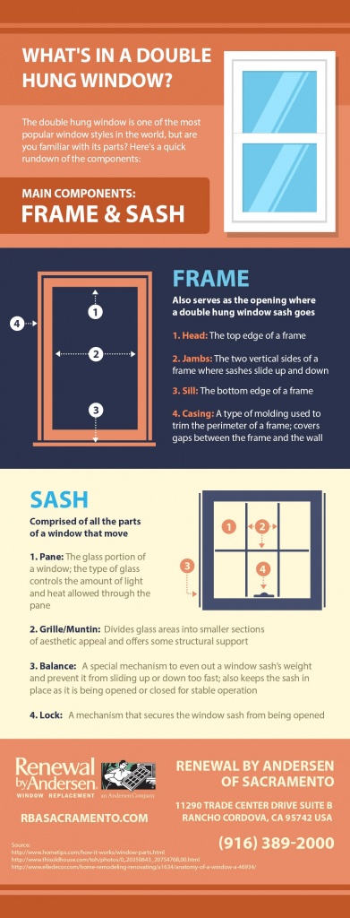 Infographics: What's in a Double-Hung Window