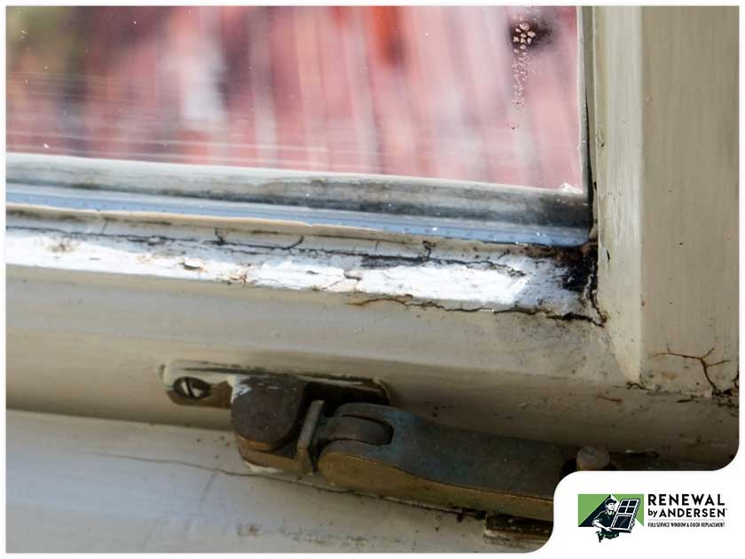 When Should You Have a Window Replacement?
