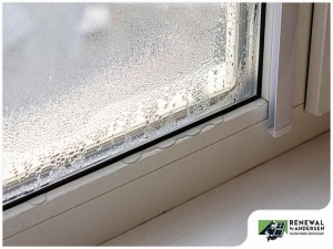 3 Signs Your Window Seals Have Failed