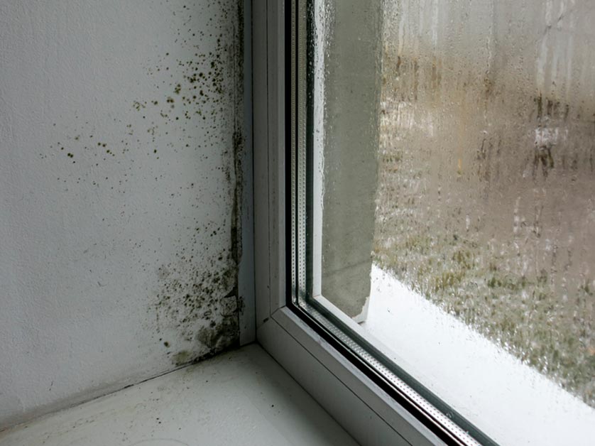 Window Condensation: Why It Happens and How to Stop It